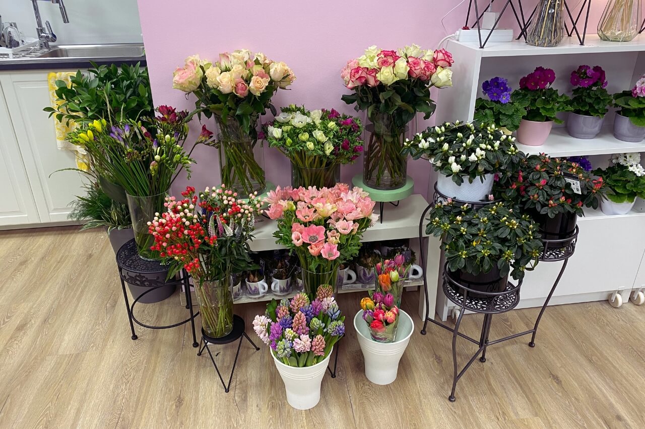 Große Auswahl an frischen Schnittblumen und Pflanzen im Blumenladen Blumenfee Florentina in Heidelberg