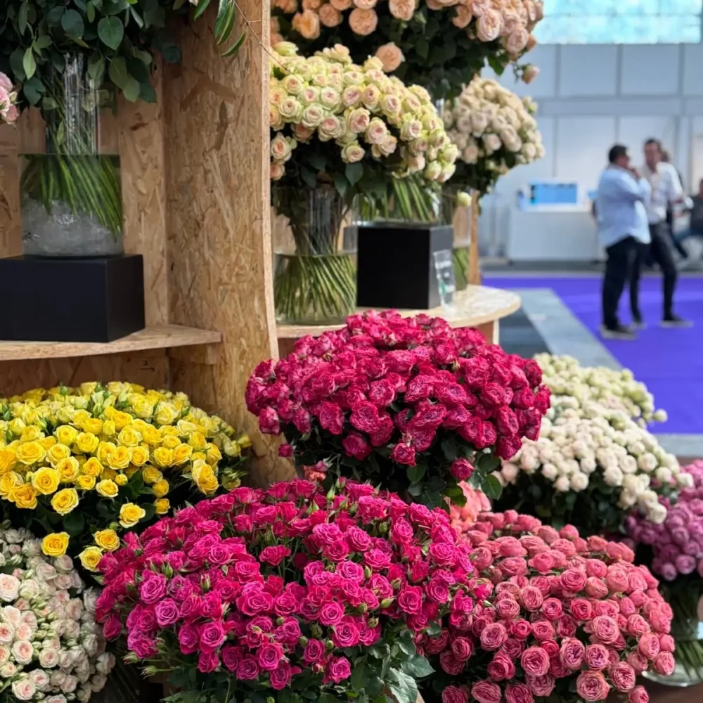 6ee35cc8-0e78-4e3c-b960-53a305bde8de